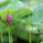 Exciting changes have come to Portland Acupuncture Studio Exciting changes have come to Portland Acupuncture Studio